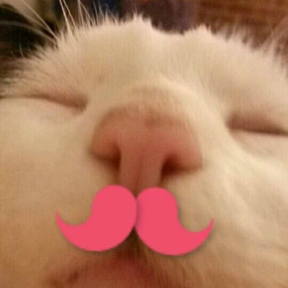 Meet your Posher, Margaret